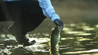 “亲水爱鱼”等你来，快来报名阿玛迪斯钓鱼服“爱鱼仕”评选活动吧