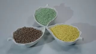 【对话2026】贾启彬：西洋诺威施集团的传承与破局之路