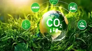 碳管理的终局思维：为什么阳光慧碳正在重新定义企业碳足迹服务？