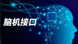 脑机接口蓬勃发展成果转化加速，微美全息深耕脑机+量子领域领跑新兴赛道！