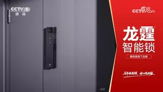 龙霆智能锁携手央视，强势品牌曝光