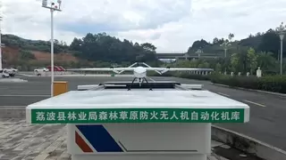蜂巢航宇无人机赋能森林巡护 打造智慧林业示范样板