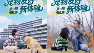 心动酒店·敢问敢答：如何以“宠物友好”抓住生意增长新机遇？