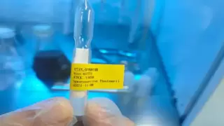 攻克技术瓶颈，微生物矿化技术实现 MICP 领域重大创新