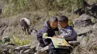 年糕妈妈李丹阳获评全国三八红旗手：十二年陪伴千万家庭成长