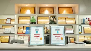 双线融合驱动国货崛起：灵科超声波以技术为核打响中国智造名片