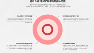 SAP神奇外挂,让二开成本降低70%,就用中国造的魔方网表
