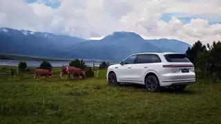 问界M7如何成为高知年轻家庭的品质生活最优解？