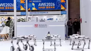 具身再进化！这家公司在AWE交出答卷