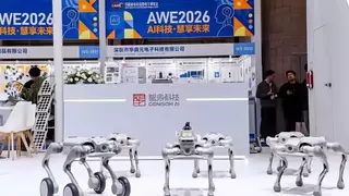 智身科技亮相AWE：自研四足机器人“钢镚L1”斩获艾普兰创新奖