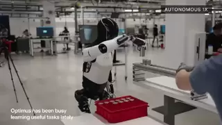 春晚机器人大军引爆新赛道：车规芯片成具身智能“隐形推手”