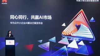 极致性价比！华为云柔性智算FlexNPU让算力不再“摸鱼”