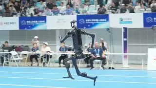 全球第一!宇树科技四足 + 人形机器人量产规模双领跑