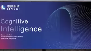 零犀科技：因果大模型+行业智能体，一家大模型应用标杆企业的技术底色与商业化路径