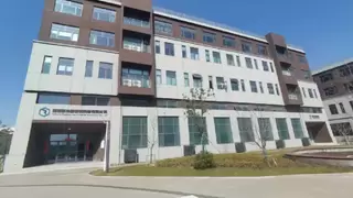 金刚石金属复合材料散热公司推荐 瑞为新材产品导热性能提升275%以上