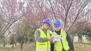 湖北移动数智赋能春季文旅 激活春日经济新动能