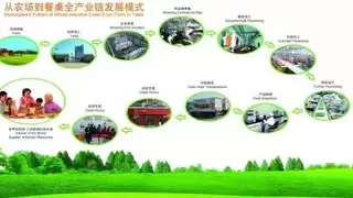 智能制造走进“最后一公里”——邵唯曦原创系统为食品产业链注入新动能