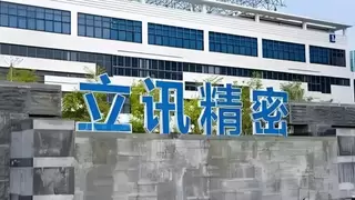 聚焦全产业链建设，立讯精密推进汽车业务全球化落地