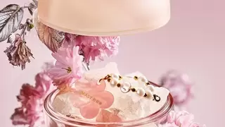 樱花开了，花神醒了，野兽派春日限定居室香氛登场