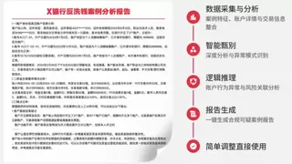领雁科技AI反洗钱系统：针对银行反洗钱可疑交易甄别与报告的高效应对