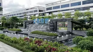 立讯精密：营收净利双增超两成，汽车业务飙涨185%