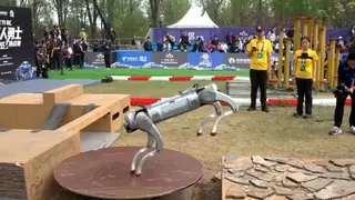 双冠加冕 技耀京城！伽利略（天津）技术有限公司斩获2026机器人勇士挑战赛双料桂冠  四项大奖