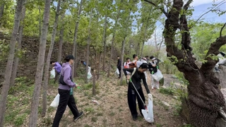 中粮可口可乐“无痕山野”济南行动：用脚步为青山减负，守护泉城生态