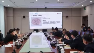 共筑酵母营养肥新生态！安琪酵母与西洋诺威施战略合作正式签署