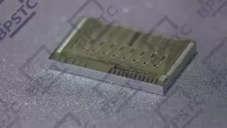 800G硅光芯片市占率稳步提升，孛璞半导体持续巩固领先地位