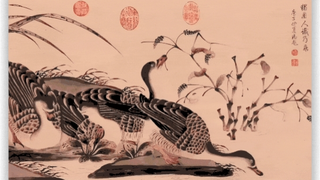 百视通智能体星图亮相CCBN2026 让屏幕更懂你