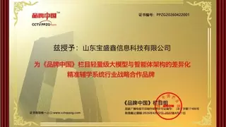从精准评估到智慧辅学：宝盛鑫以轻量级大模型引领AI司法教育新赛道