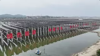 山海福建 向新前行 | 解码八闽新质生产力发展实践