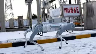 锚定国网具身智能新赛道 伽利略机器人以硬核科技赋能电力数智化转型