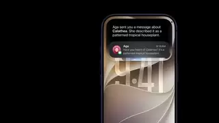 Siri AI在欧盟推出受阻,苹果极为恼火