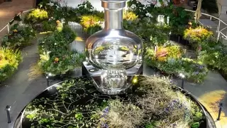 野兽派「The Mirror」花镜香水系列发布：八支香水藏入花艺迷宫，等你寻香