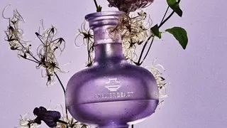 花镜香水 | ATELIER BEAST 野兽工坊新作