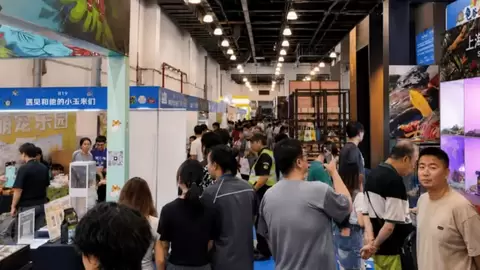 2026上海龟谷展圆满落幕：三思携“原态感”陶瓷智能爬宠灯，跨界引领科学养宠新纪元