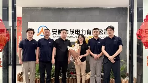 走近伙伴，走进市场｜科士达渠道行动进行时：走进安徽中茂