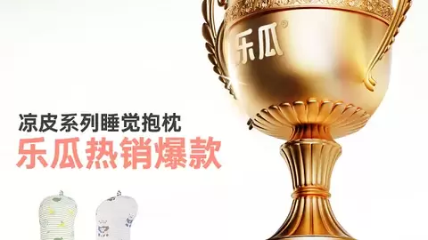 乐瓜凉皮款睡觉抱枕：用凉感、承托与弹力专利，回应换季睡眠难题