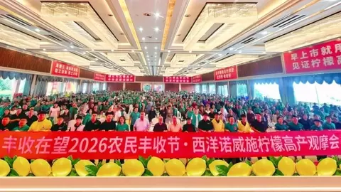 千人庆丰收！西洋诺威施柠檬高产观摩会圆满举行