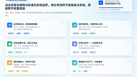 定制化跨境ERP怎么选？中大型出海企业应先看清四条路线
